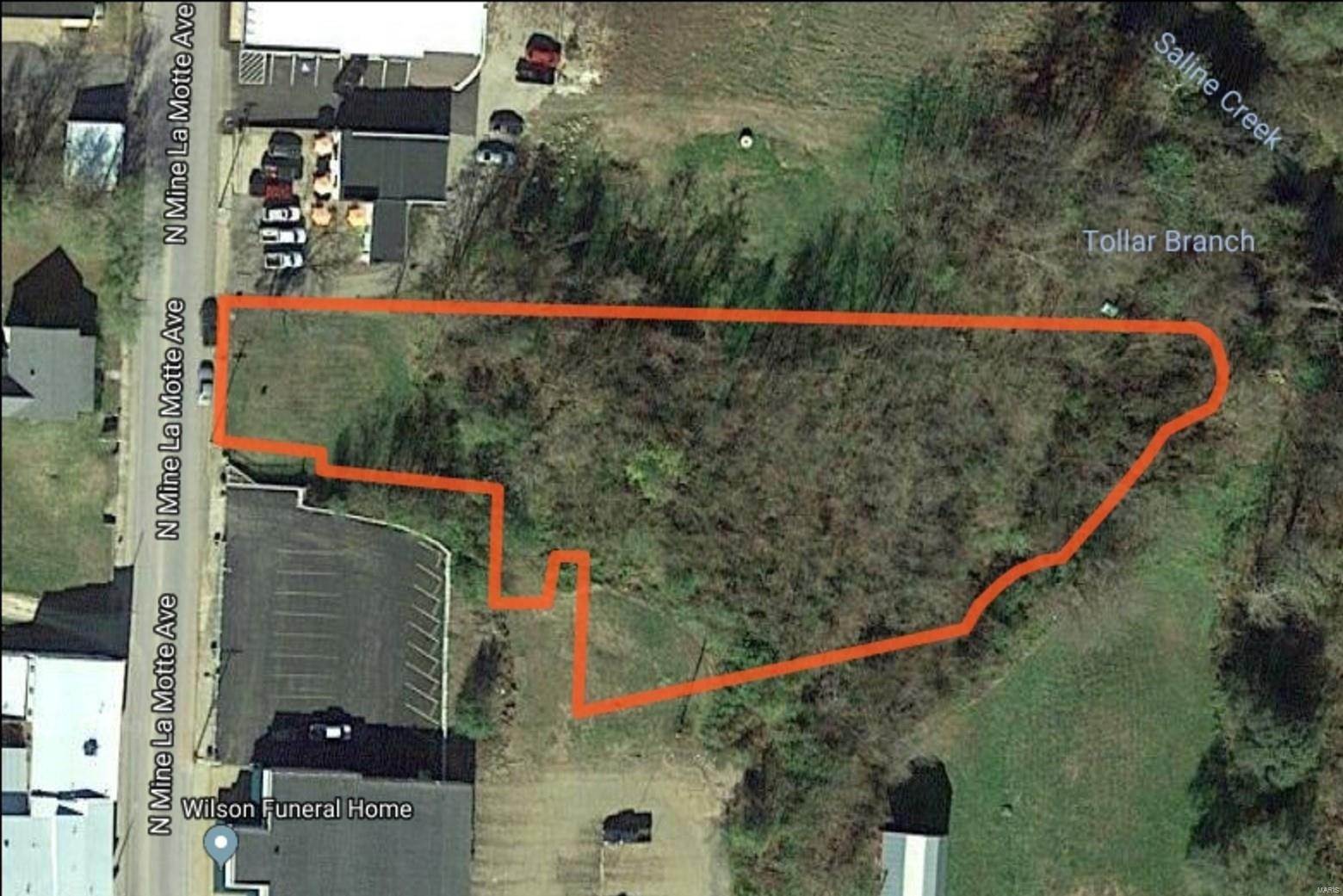 Property for Sale at 119 N Mine Lamotte Avenue Fredericktown, Missouri 63645 United States