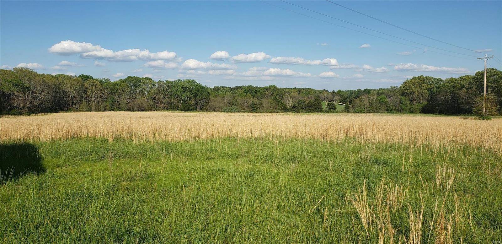 Farm for Sale at Address Restricted By Mls Rolla, Missouri 65401 United States