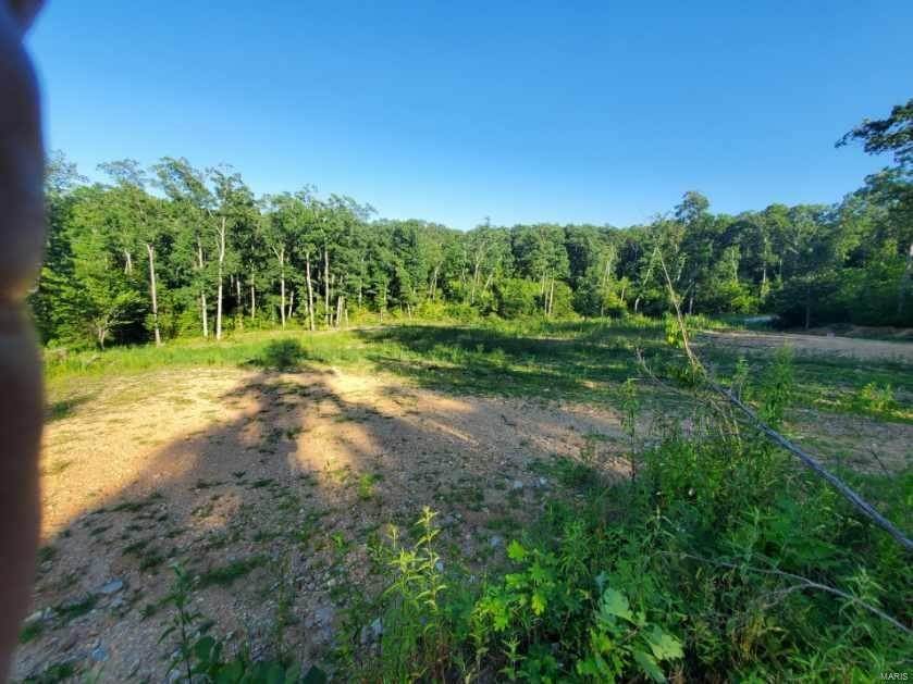 Land for Sale at 340 Little Sparrow Drive Beaufort, Missouri 63084 United States
