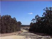 Property for Sale at 1 The Quarry Plat 4 Phase Ii Rolla, Missouri 65401 United States