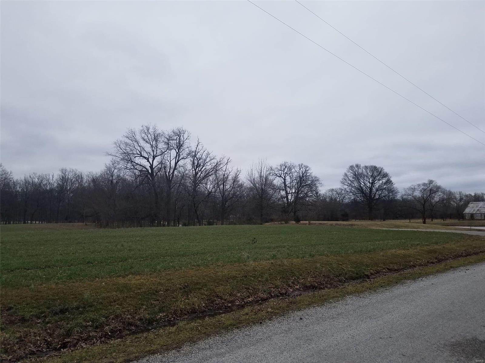 Land for Sale at 15028 Rod And Gun Road Breese, Illinois 62230 United States