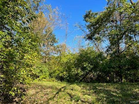 Land for Sale at Bass Lane Millstadt, Illinois 62260 United States