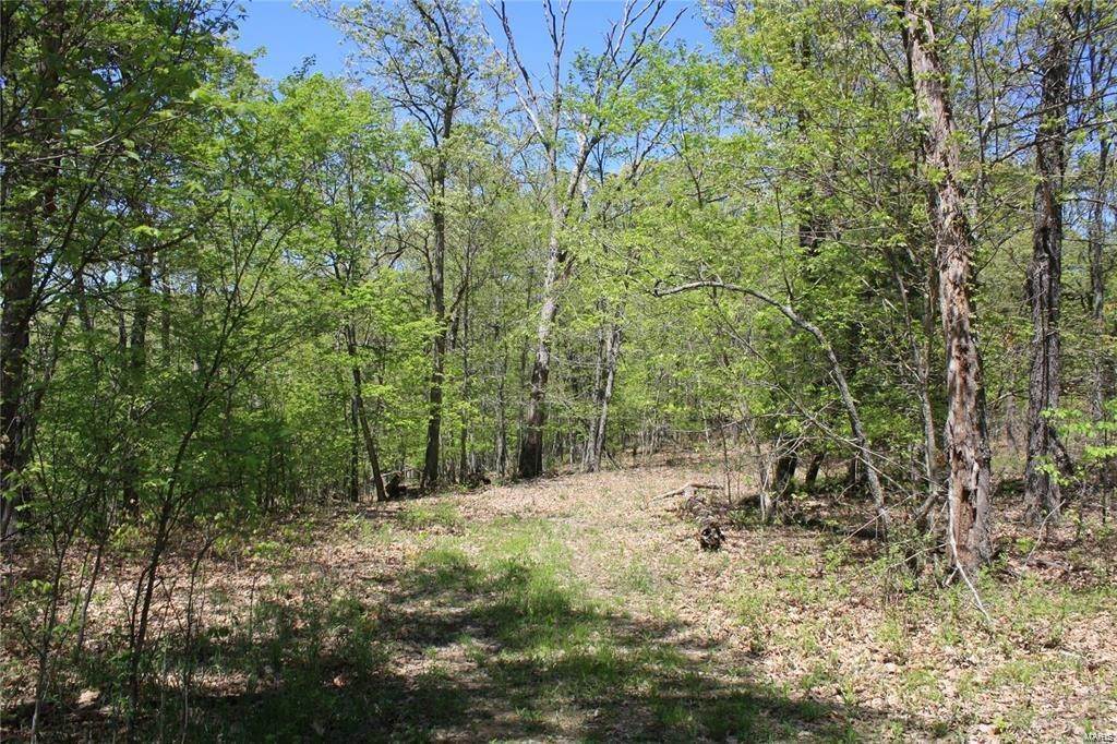 Land for Sale at 1 Steeple Rock Point Drive Defiance, Missouri 63341 United States
