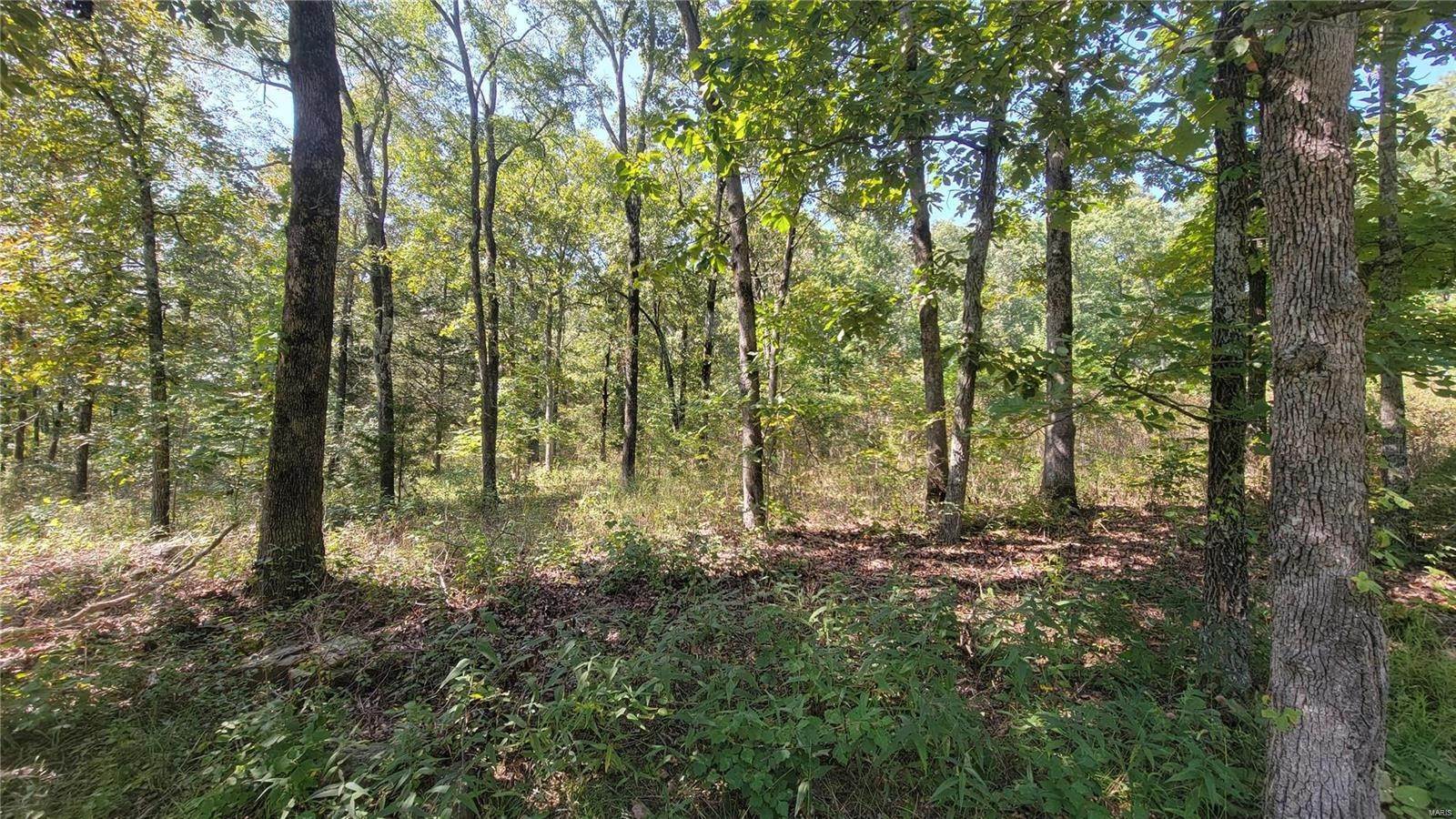15. Land for Sale at Lot 502 N. Deer Trail Fredericktown, Missouri 63645 United States