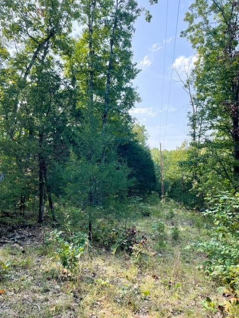 1. Land for Sale at 14 Lot Riverview Dittmer, Missouri 63023 United States