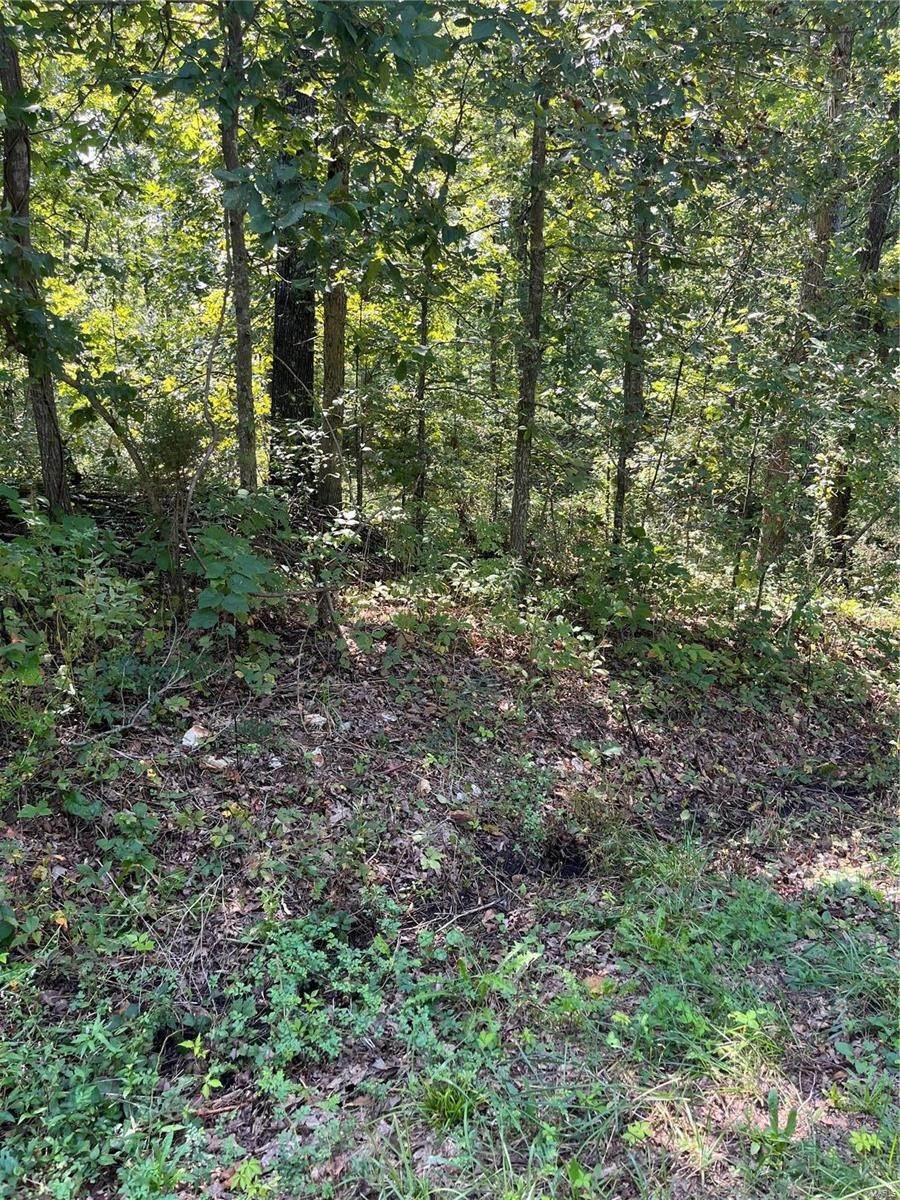4. Land for Sale at W County Road 4255 Salem, Missouri 65560 United States