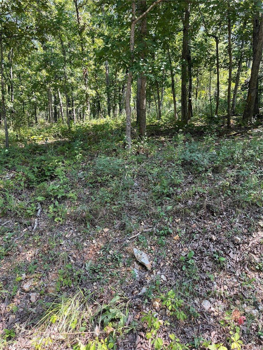 3. Land for Sale at W County Road 4255 Salem, Missouri 65560 United States