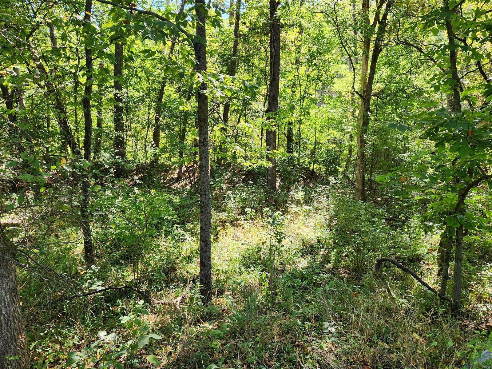 6. Land for Sale at 7141 Mindy Meadows Dittmer, Missouri 63023 United States