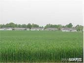 Land for Sale at 248 Walnut Damiansville, Illinois 62215 United States