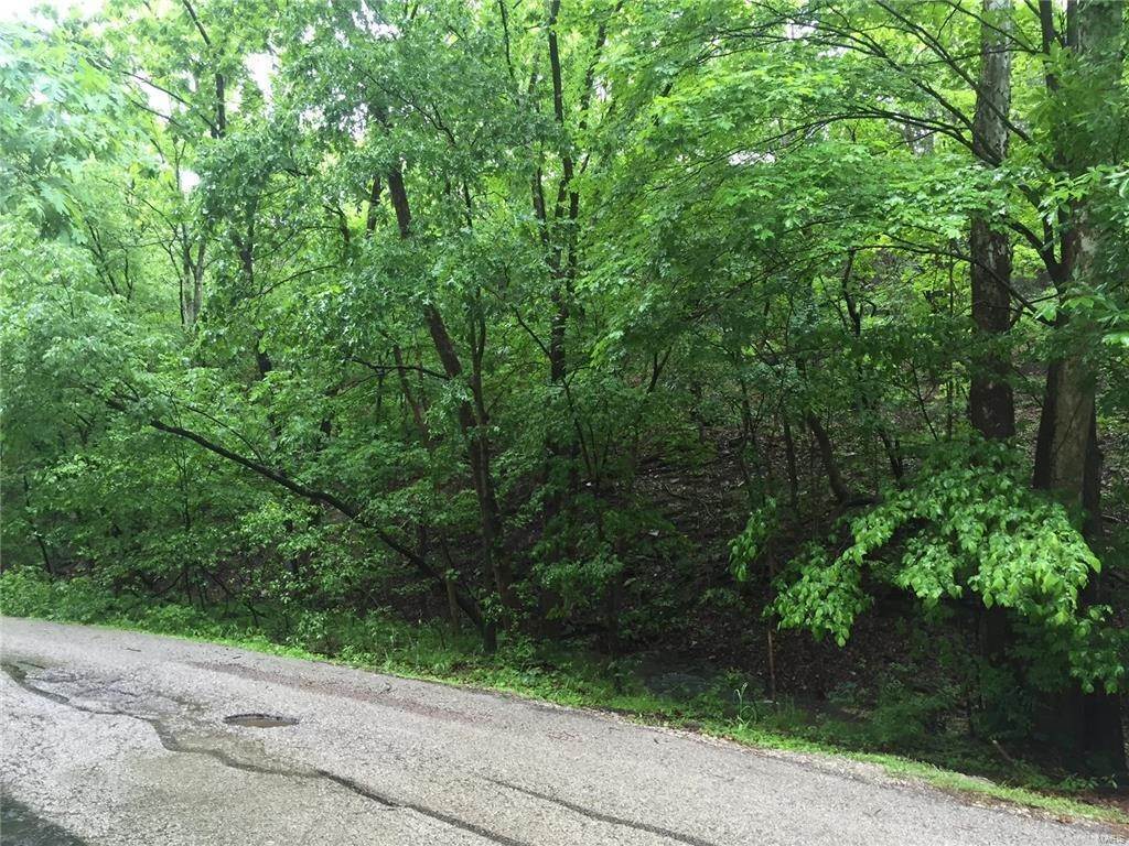 Land for Sale at 17473 Thunder Valley Drive Wildwood, Missouri 63025 United States
