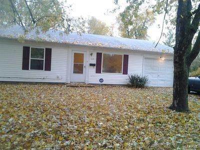 Single Family Homes for Sale at 1115 Saint Rose Lane Cahokia, Illinois 62206 United States