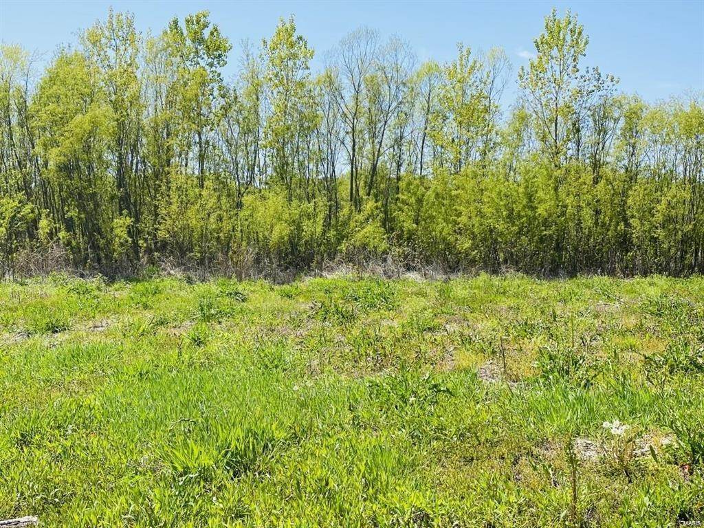 Land for Sale at Pike 9203 Annada, Missouri 63330 United States